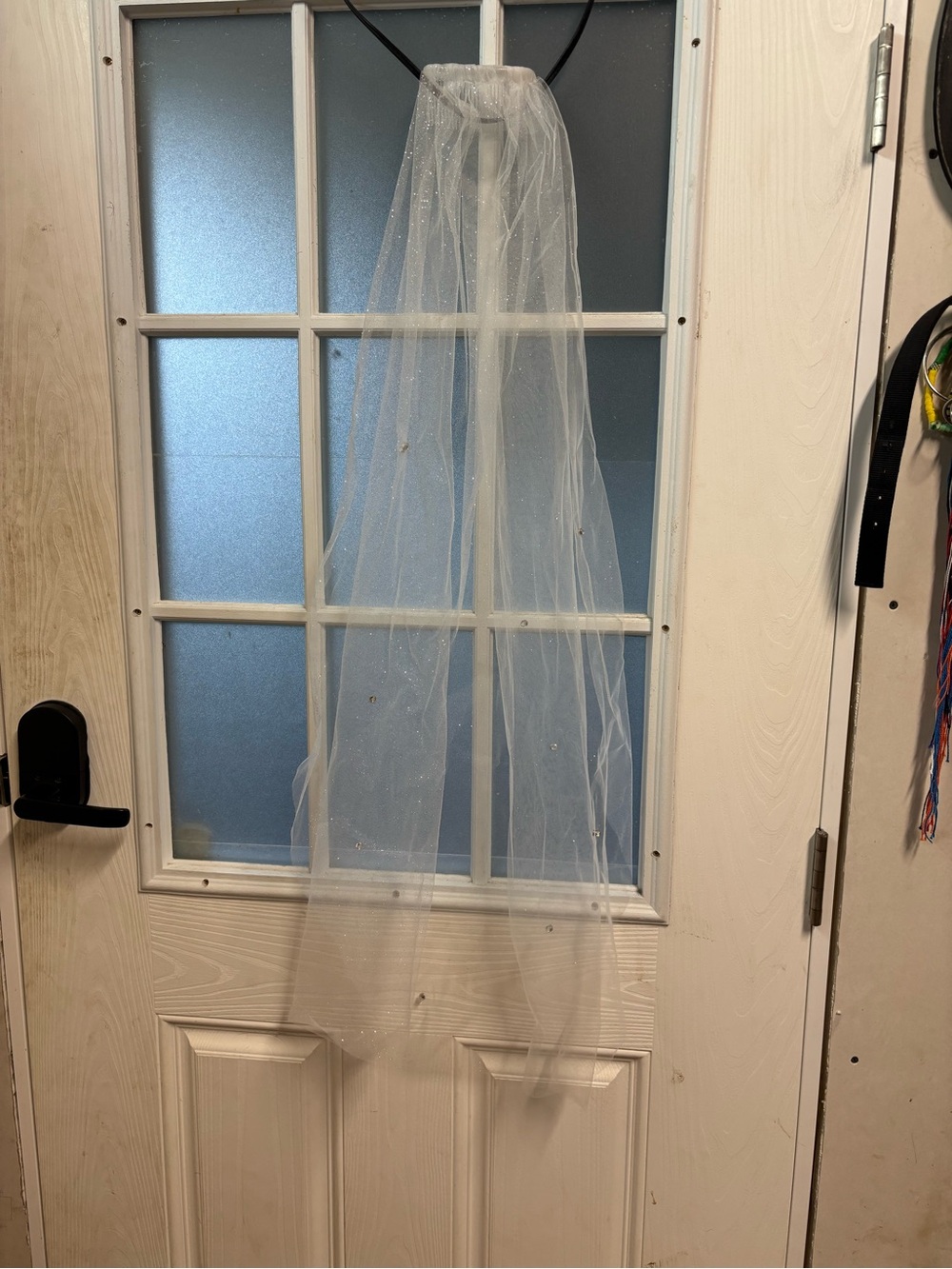 Sheer Beaded Bridal Veil - White